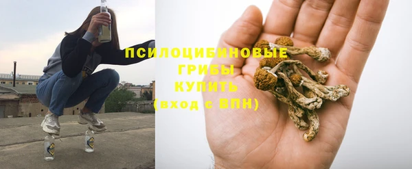 гидра Михайловка
