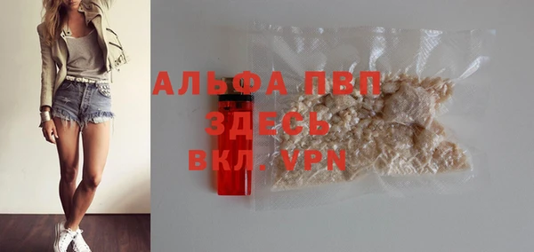 гидра Михайловка