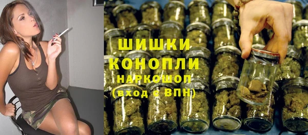 гидра Михайловка