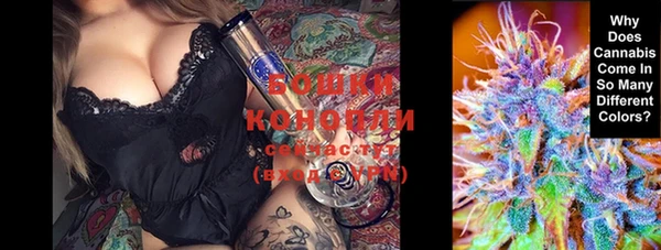 ECSTASY Михайлов