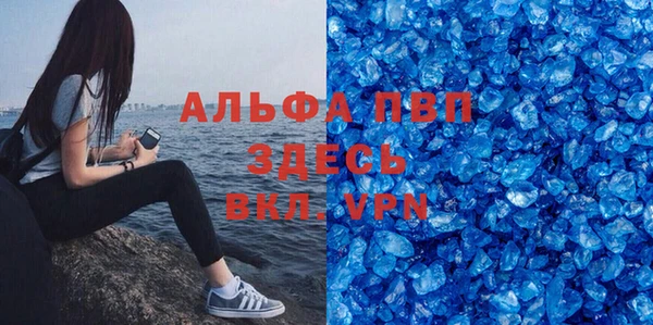 прущие грибы Абаза